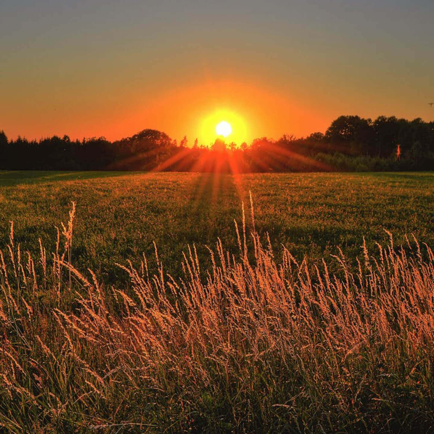 Dynamic background image